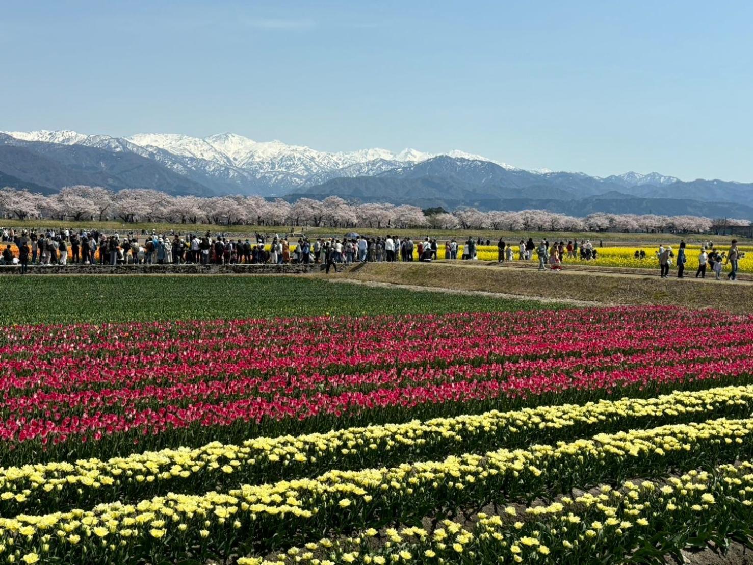 ヨーコのお宿 わくわく Toyama Ngoại thất bức ảnh