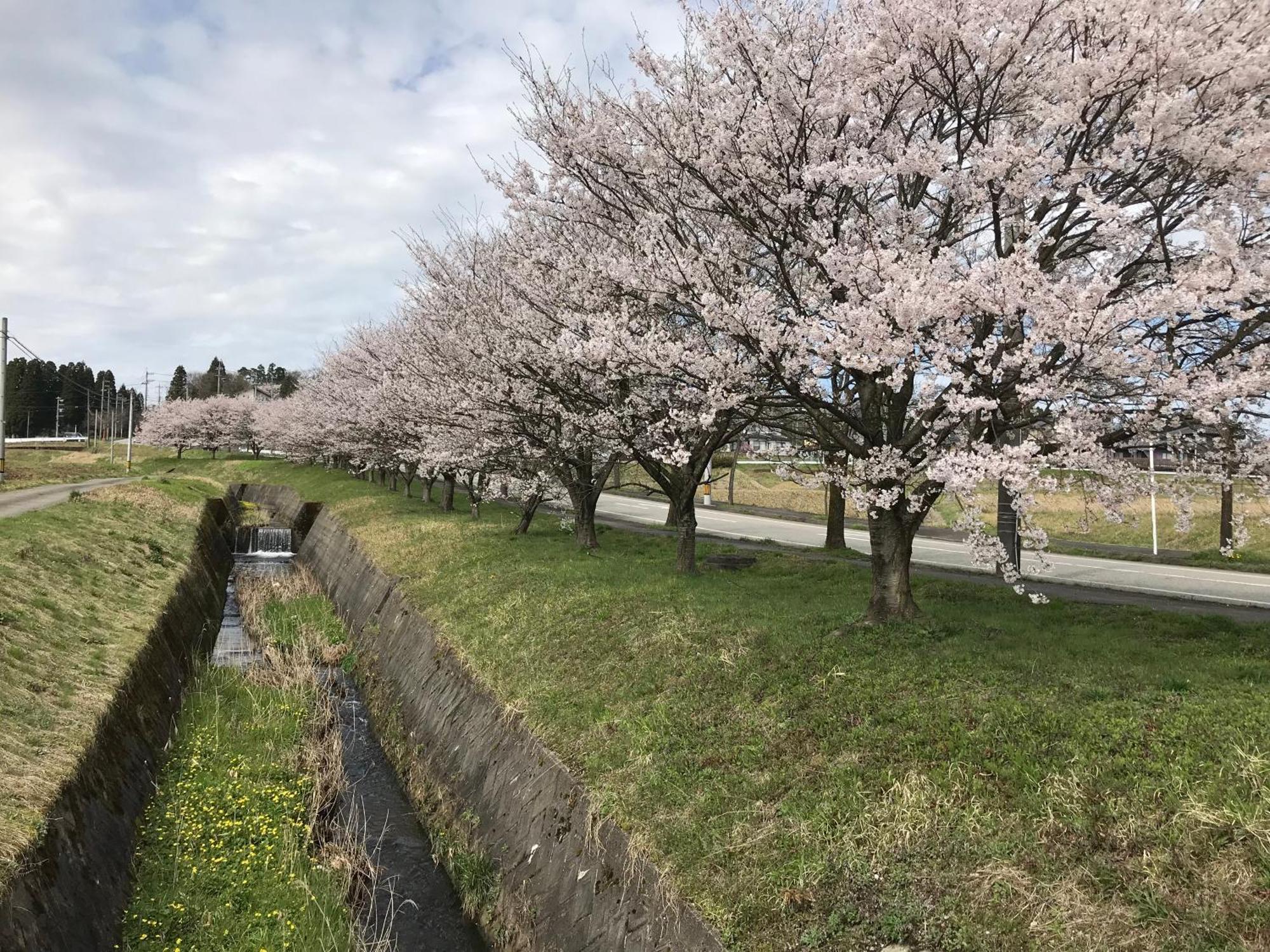 ヨーコのお宿 わくわく Toyama Ngoại thất bức ảnh